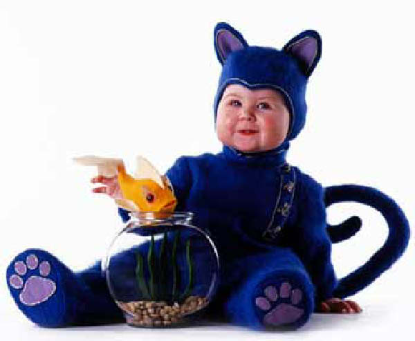 bebe chat-humourenvrac